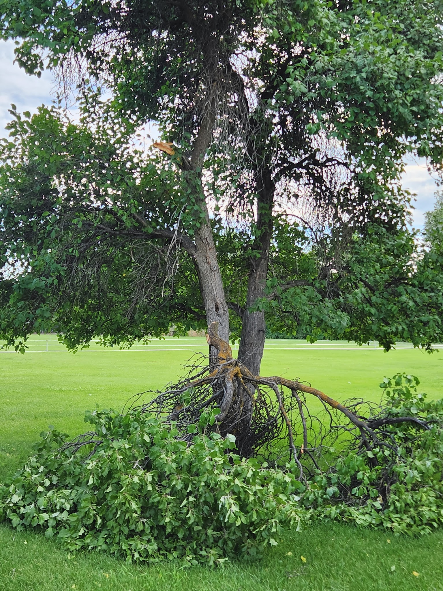 Stutz Park - Provo, UT