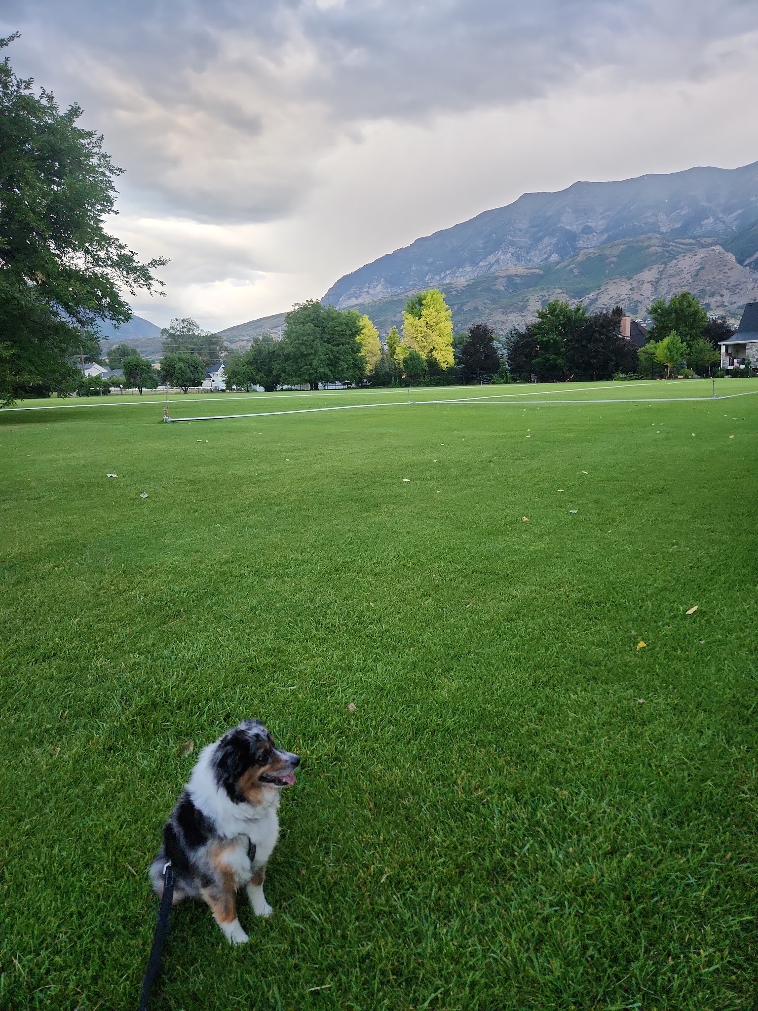Stutz Park - Provo, UT