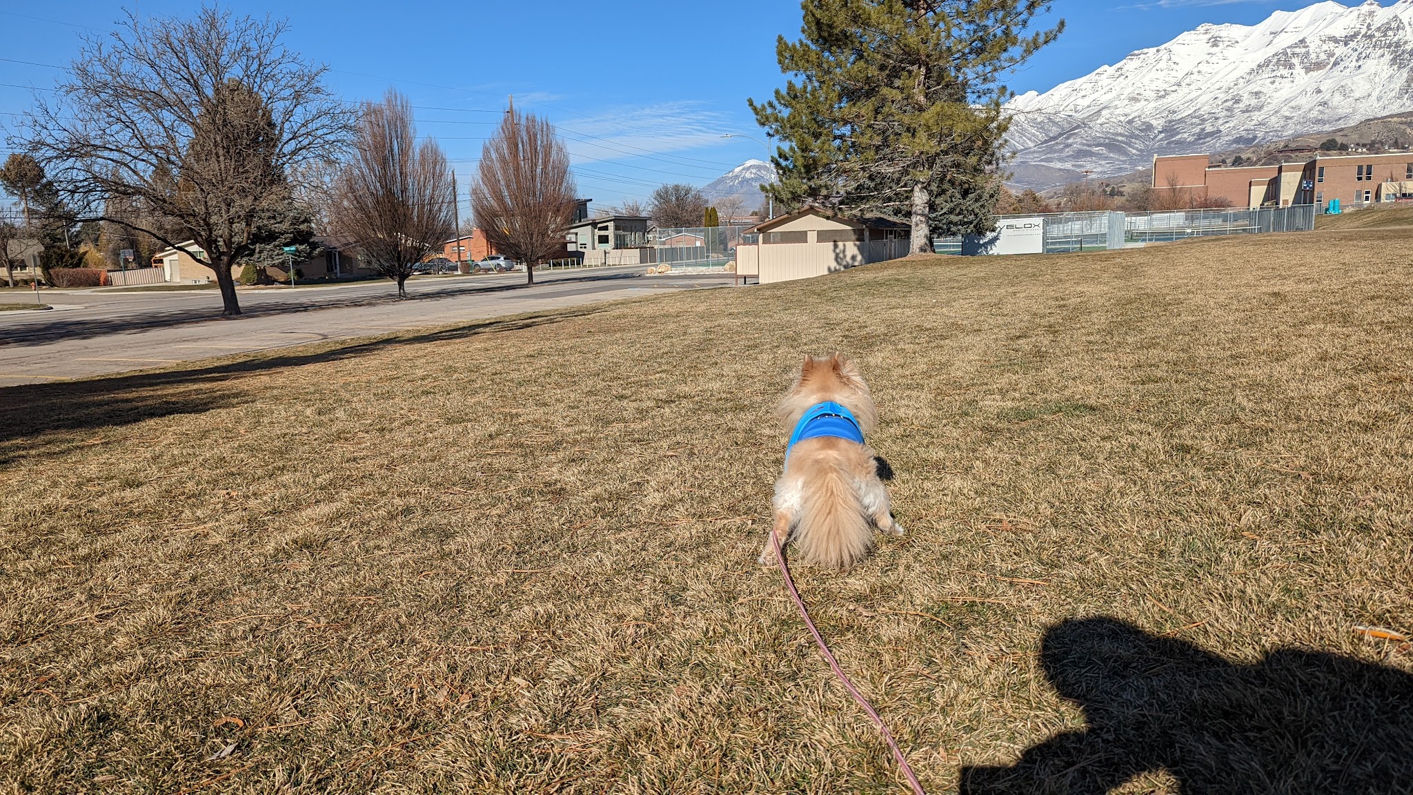 Timp Kiwanis Bounous Park - Provo, UT
