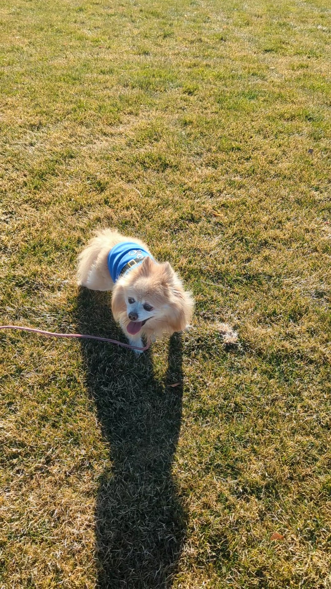 Timp Kiwanis Bounous Park - Provo, UT