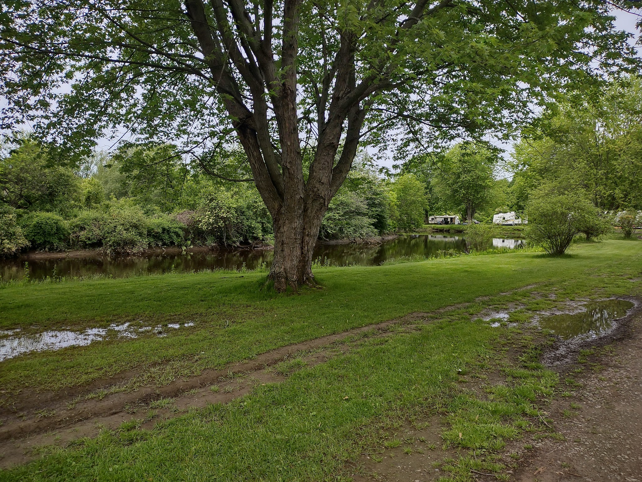 Bears Sleepy Hollow Campground - Pulaski, NY
