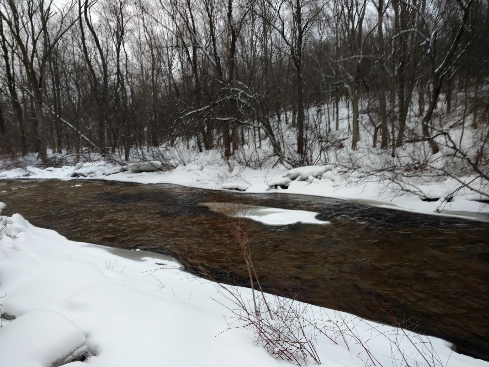 Lower Grindstone Access - Pulaski, NY