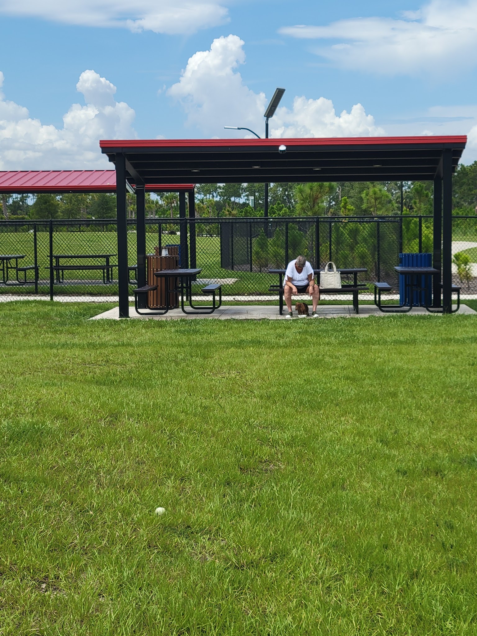 Dog park - Punta Gorda, FL