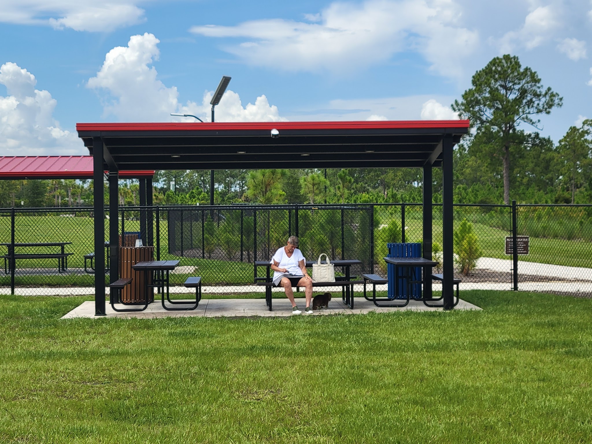 Dog park - Punta Gorda, FL