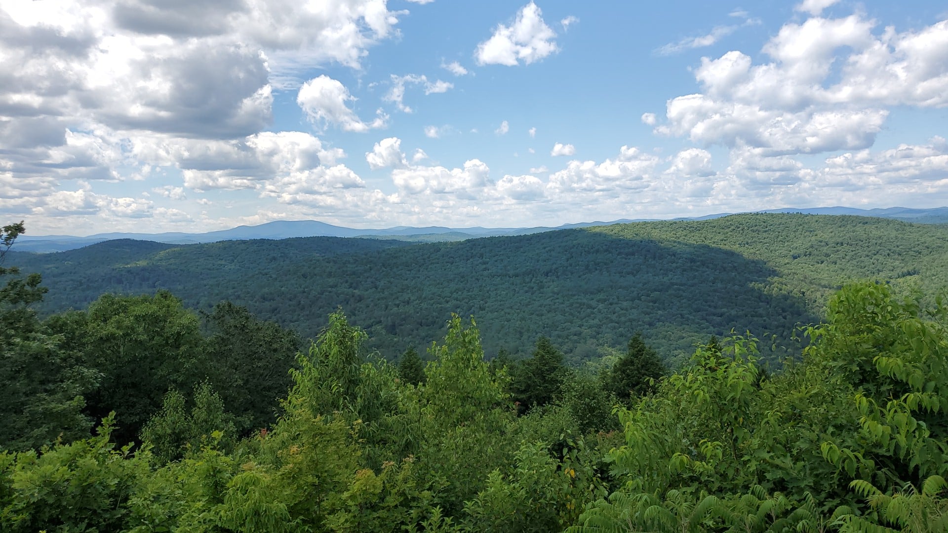 Pinnacle Trailhead, Holden Trail - Putney, VT