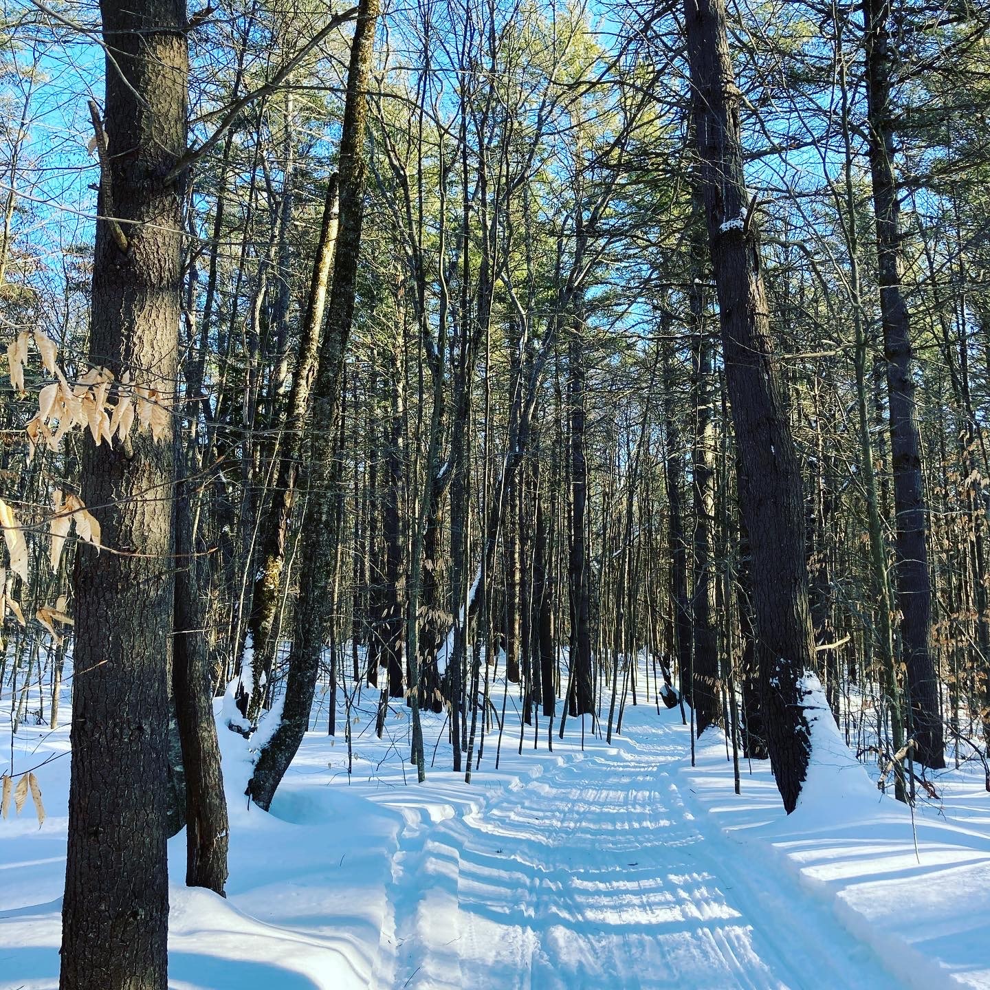 Pinnacle Trailhead, Holden Trail - Putney, VT