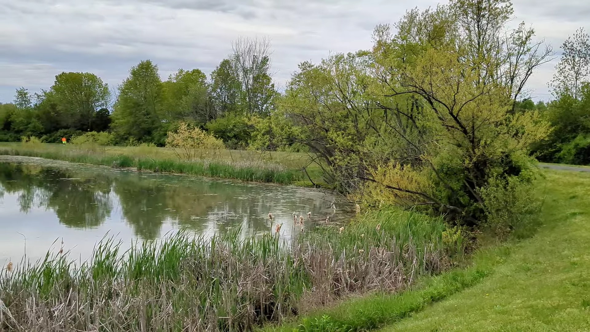 Great Blue Heron Park - Quakertown, PA