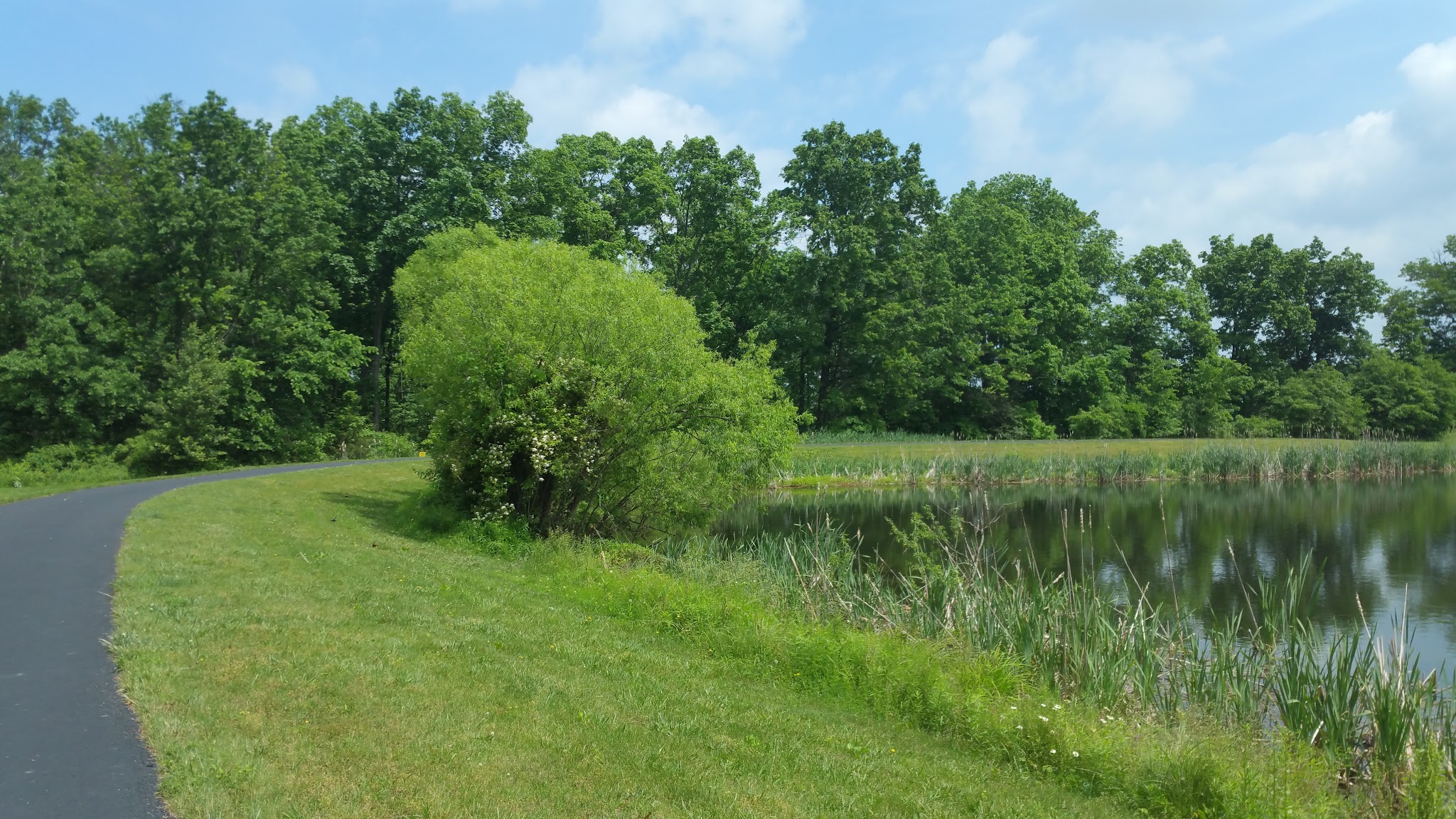 Great Blue Heron Park - Quakertown, PA