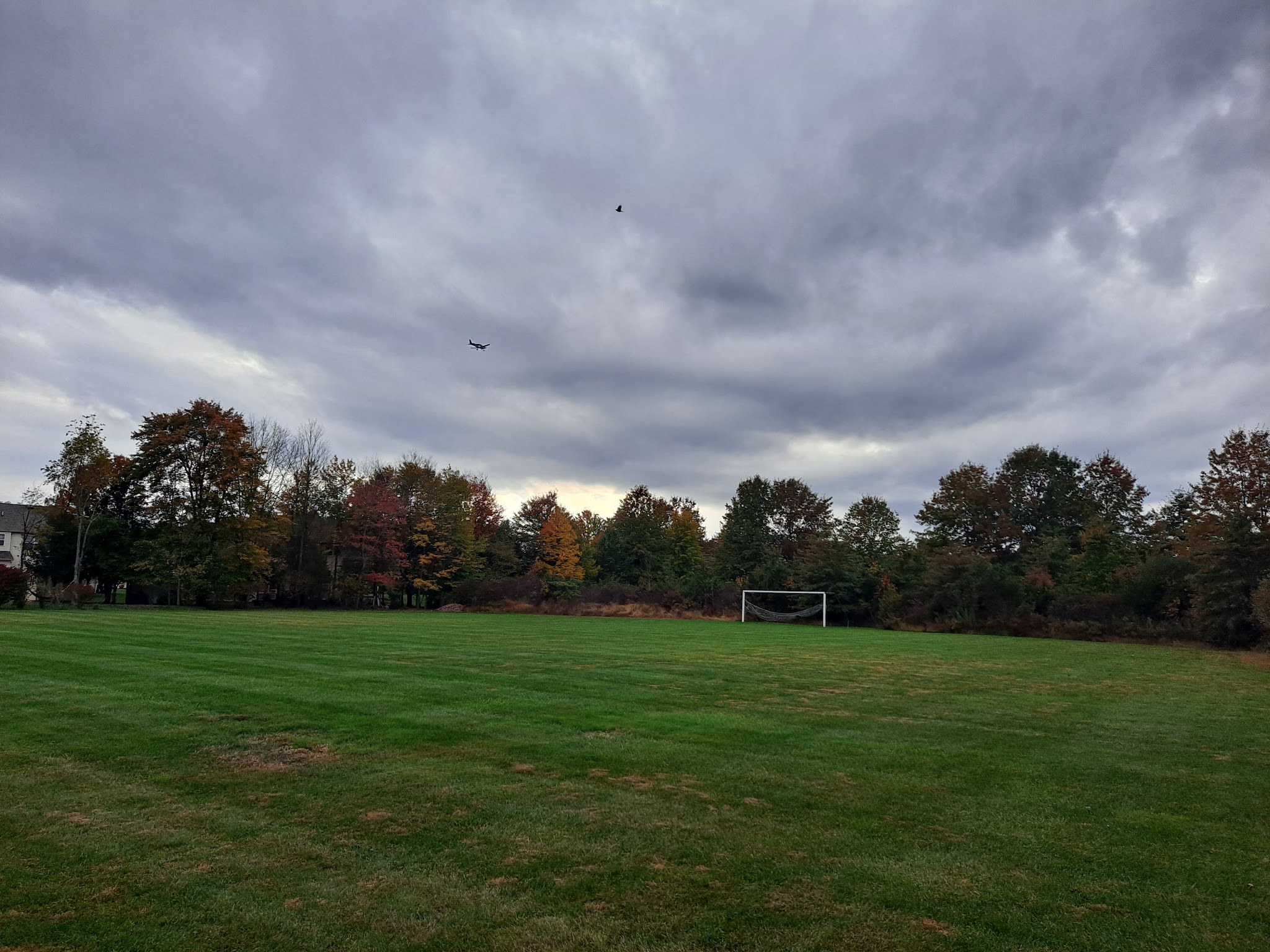 Little Bear's Park - Quakertown, PA