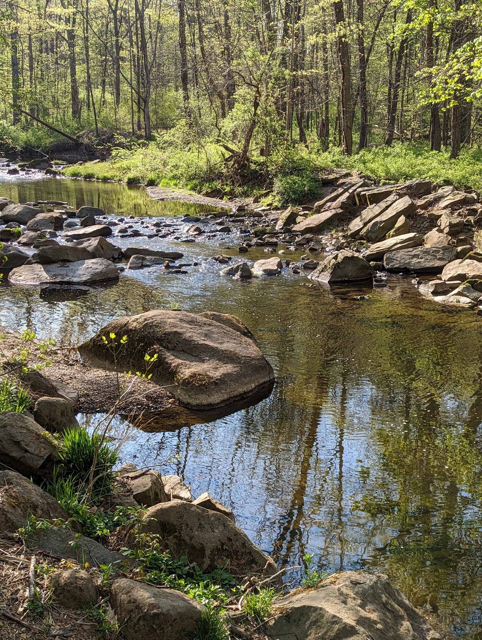 Unami Creek Park- Milford Township - Quakertown, PA