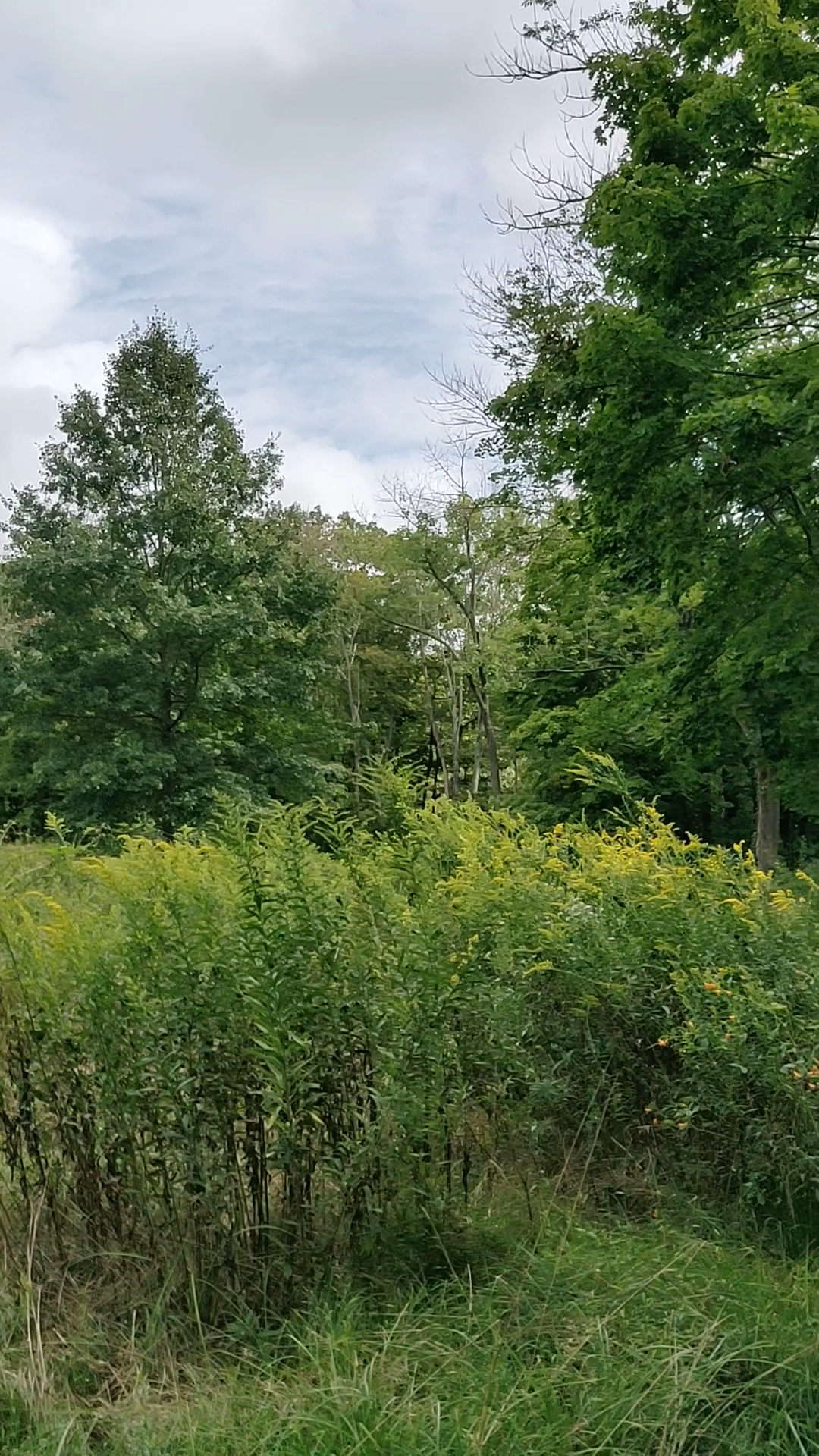 Unami Creek Park- Milford Township - Quakertown, PA