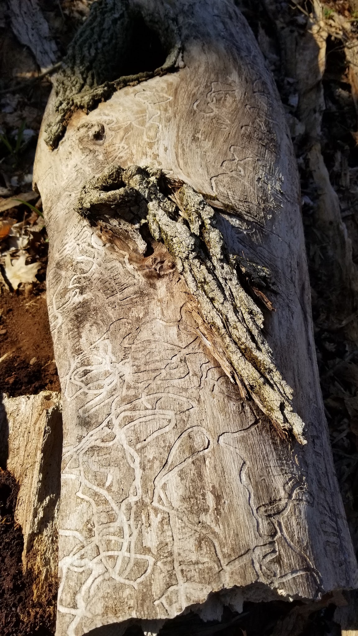 Unami Creek Park- Milford Township - Quakertown, PA