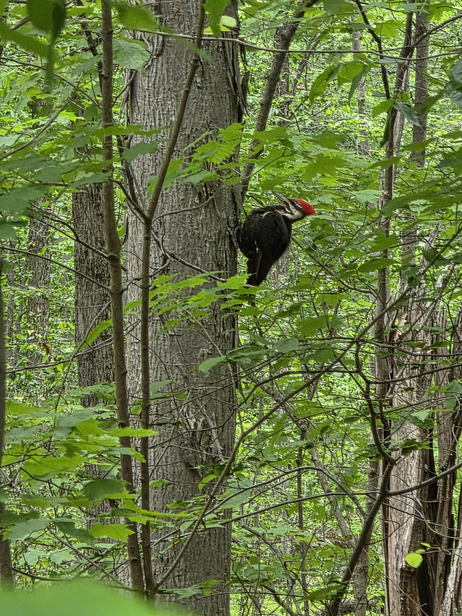 Unami Creek Trailhead - Quakertown, PA