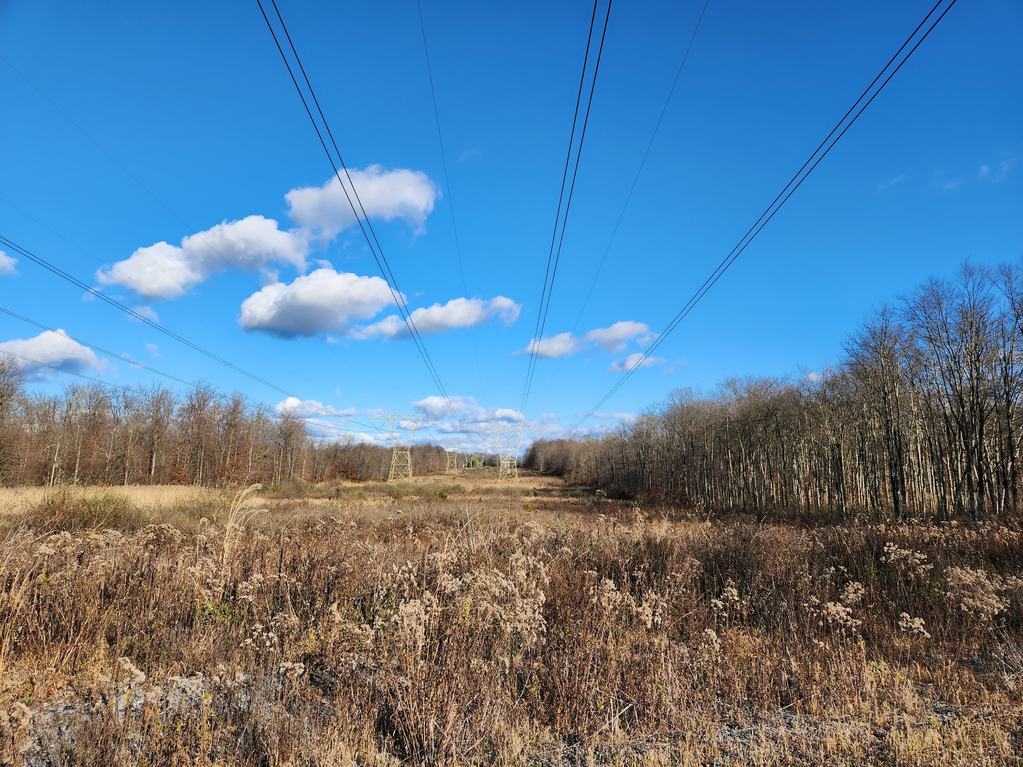 Upper Bucks Rail Trail - Quakertown, PA