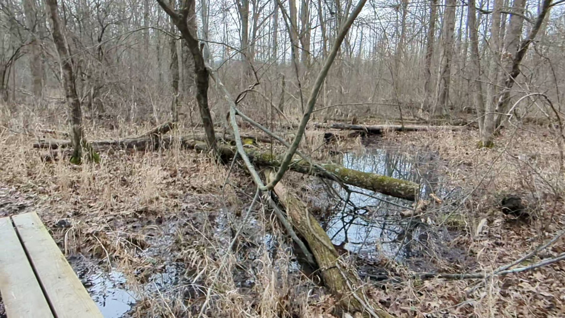 Veterans Park - Quakertown, PA