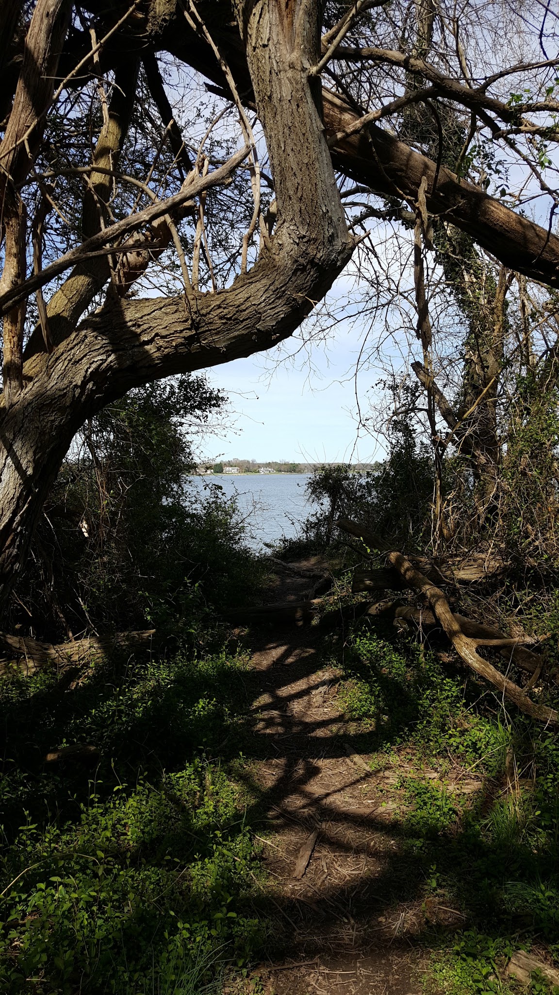 Wye Island NRMA - Queenstown, MD