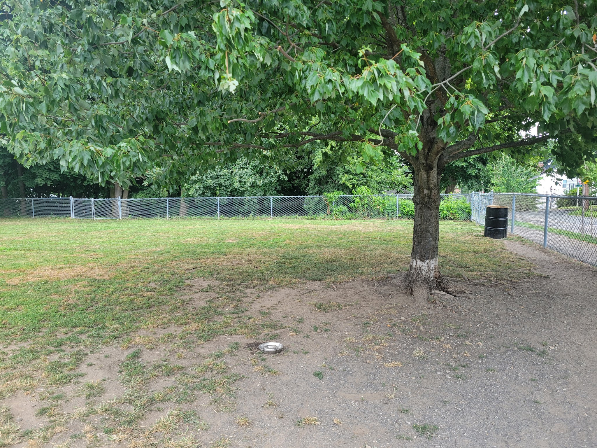 North Quincy Dog Park - Quincy, MA