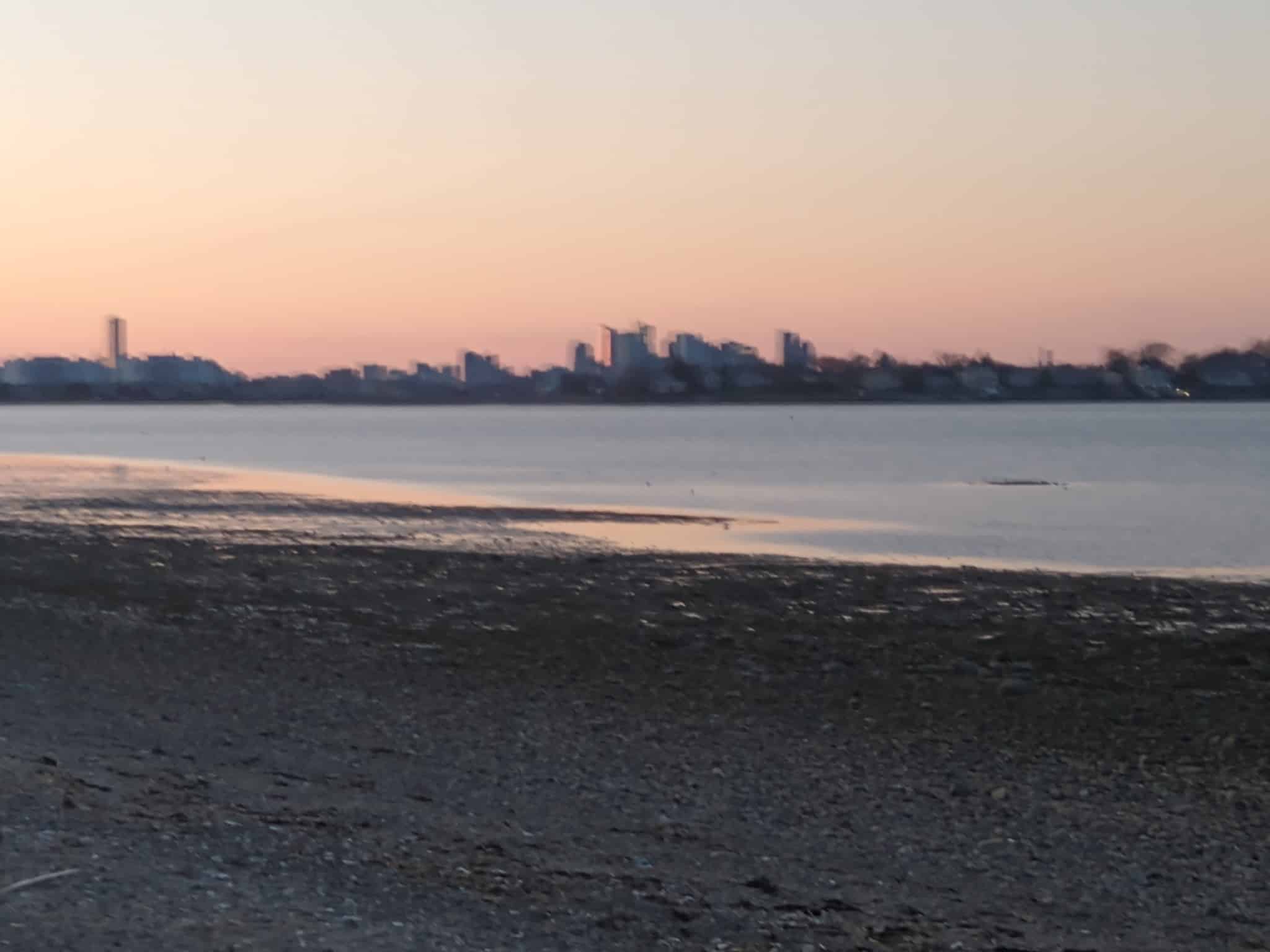 Watkins Street Dog Pit Stop - Quincy, MA