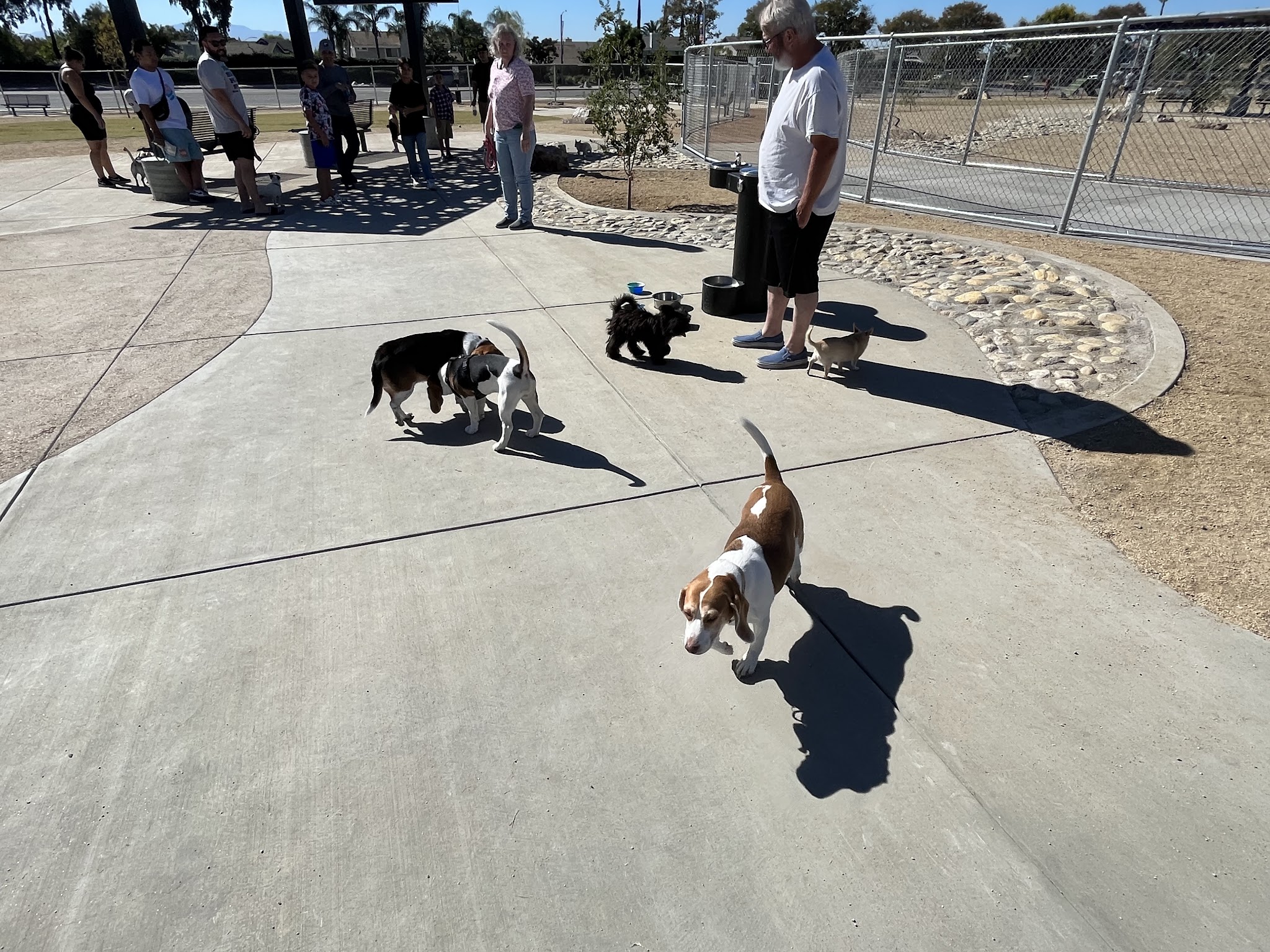 Central Park Dog Park - Rancho Cucamonga, CA