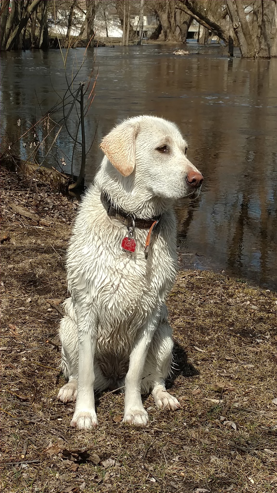 Bingo Park - Randall, MN