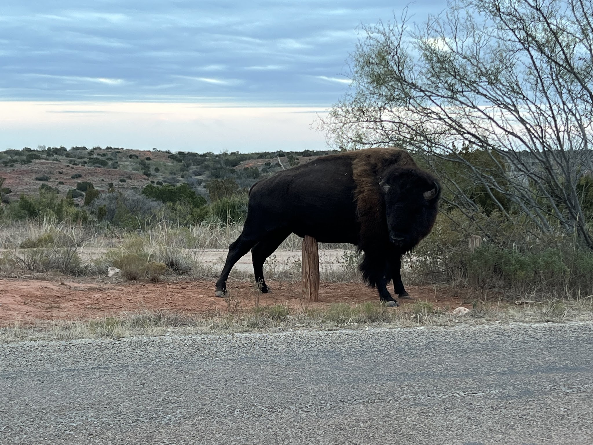 Ransom Canyon Park - Ransom Canyon, TX