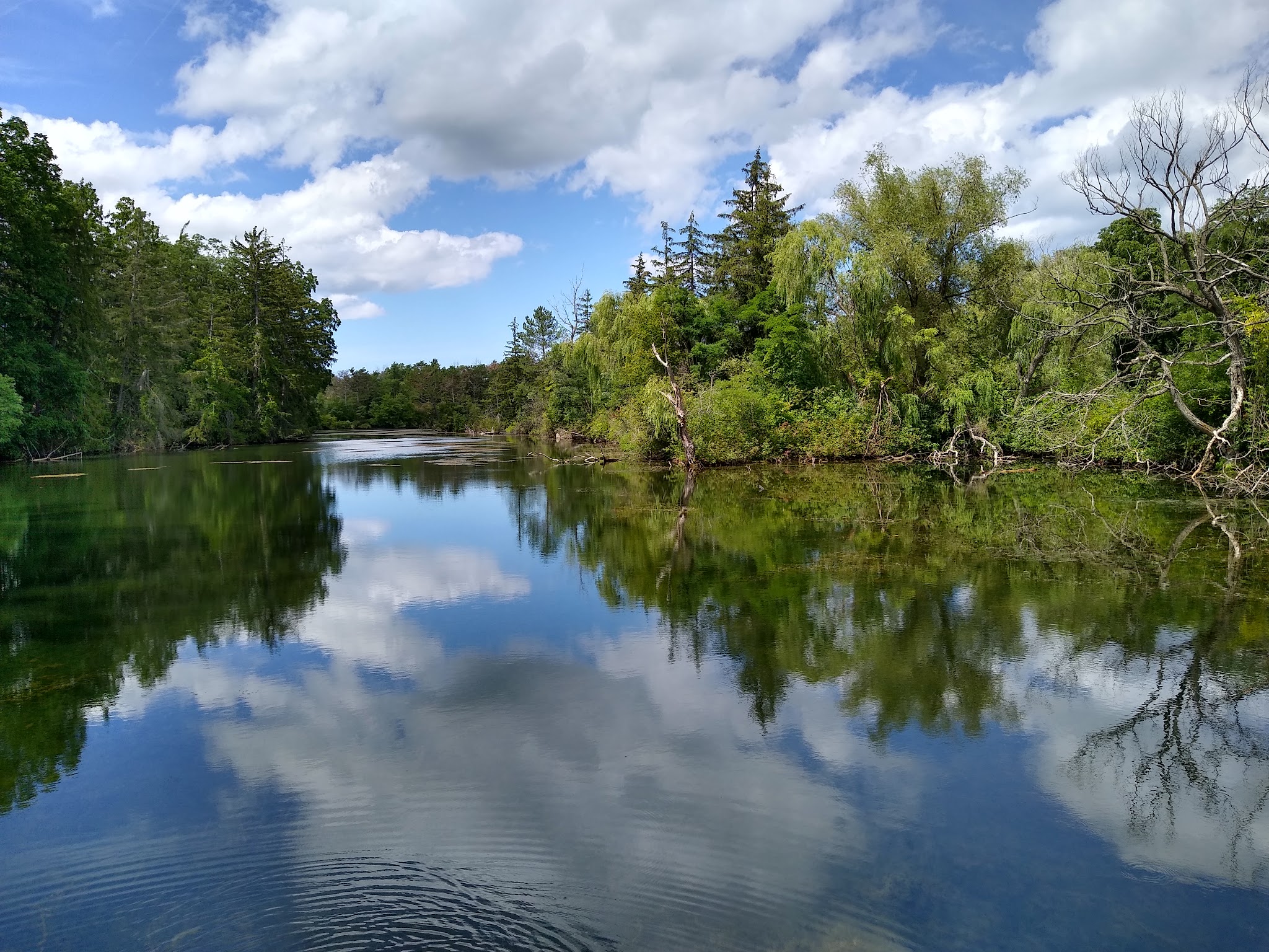 Bond Lake Park - Ransomville, NY