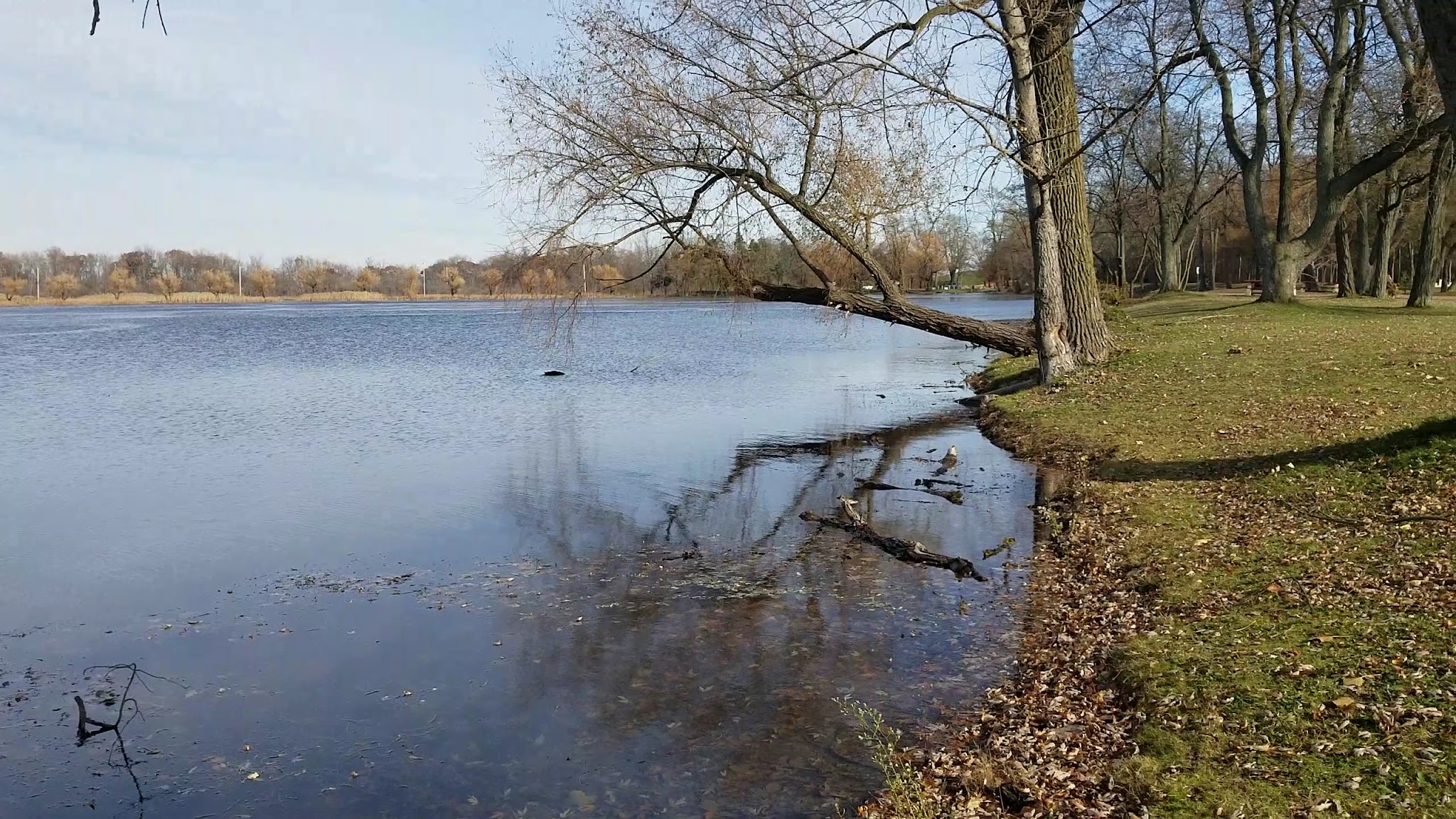Bond Lake Park - Ransomville, NY