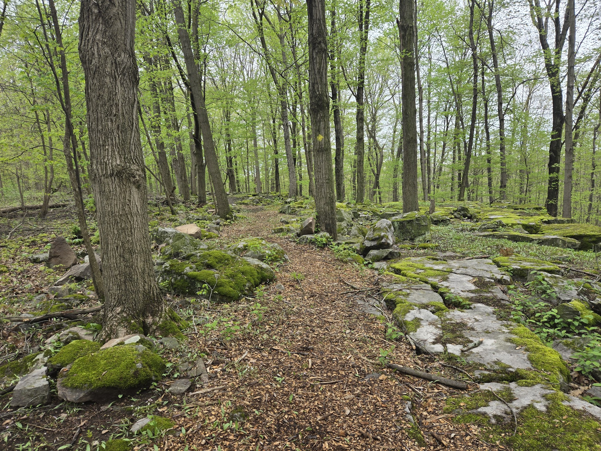 Bond Lake Park - Ransomville, NY