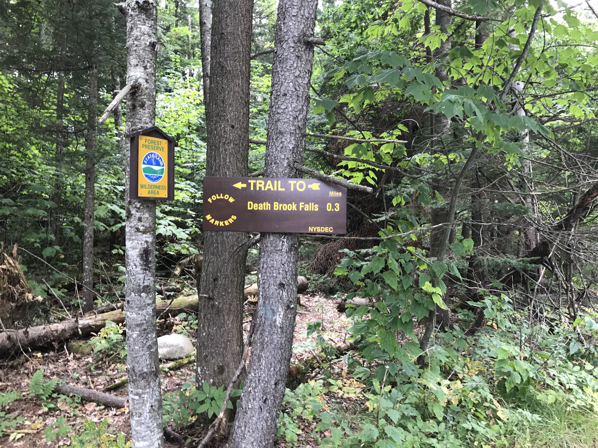 Death Brook Falls - Raquette Lake, NY