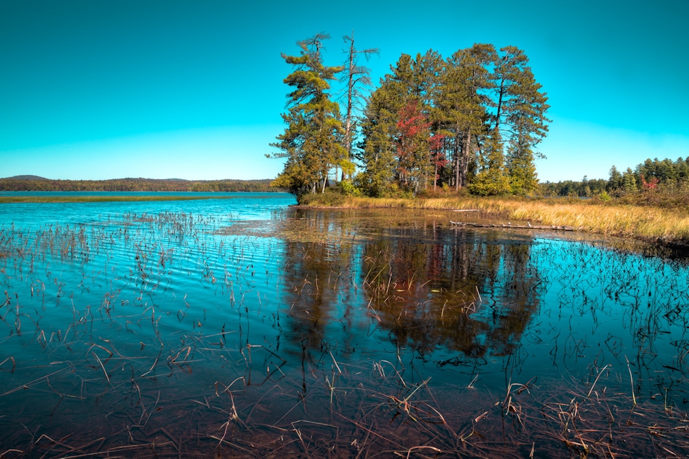 Raquette Lake - Raquette Lake, NY