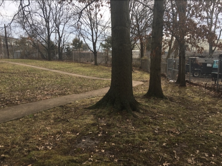 Raritan Dog Park - Raritan, NJ