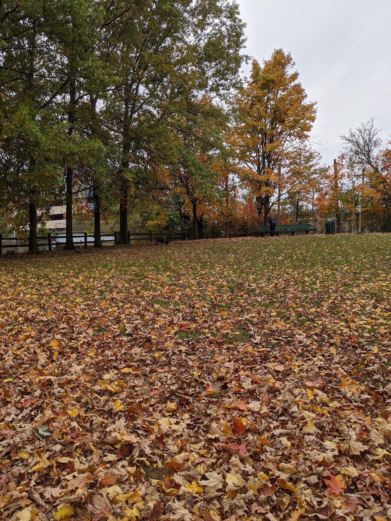 Raritan Dog Park - Raritan, NJ