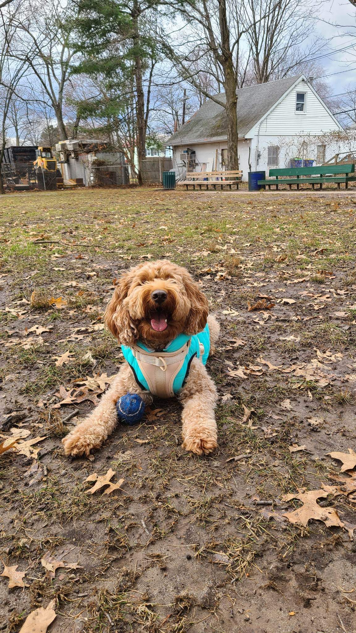 Raritan Dog Park - Raritan, NJ