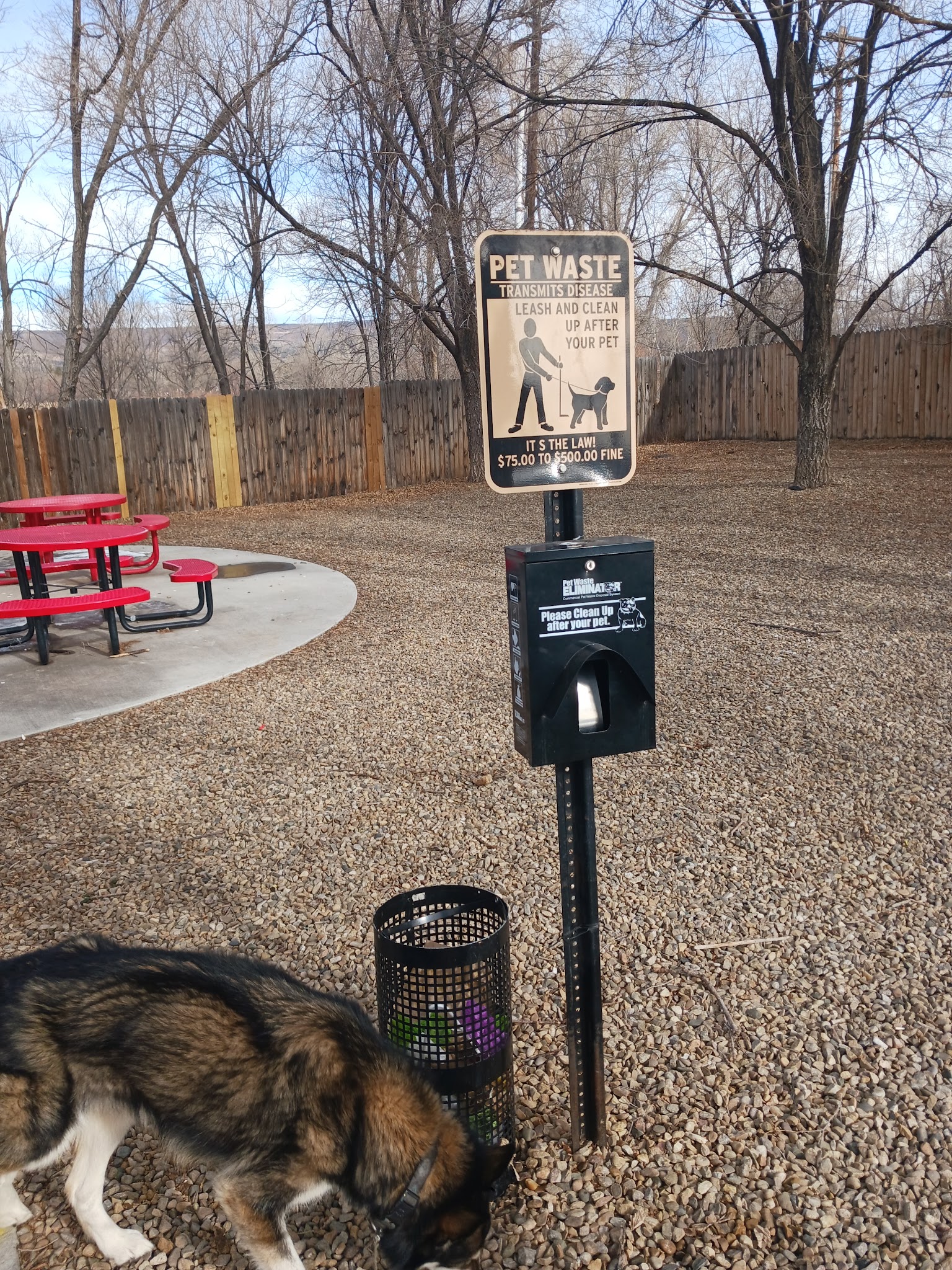 Dog park - Raton, NM