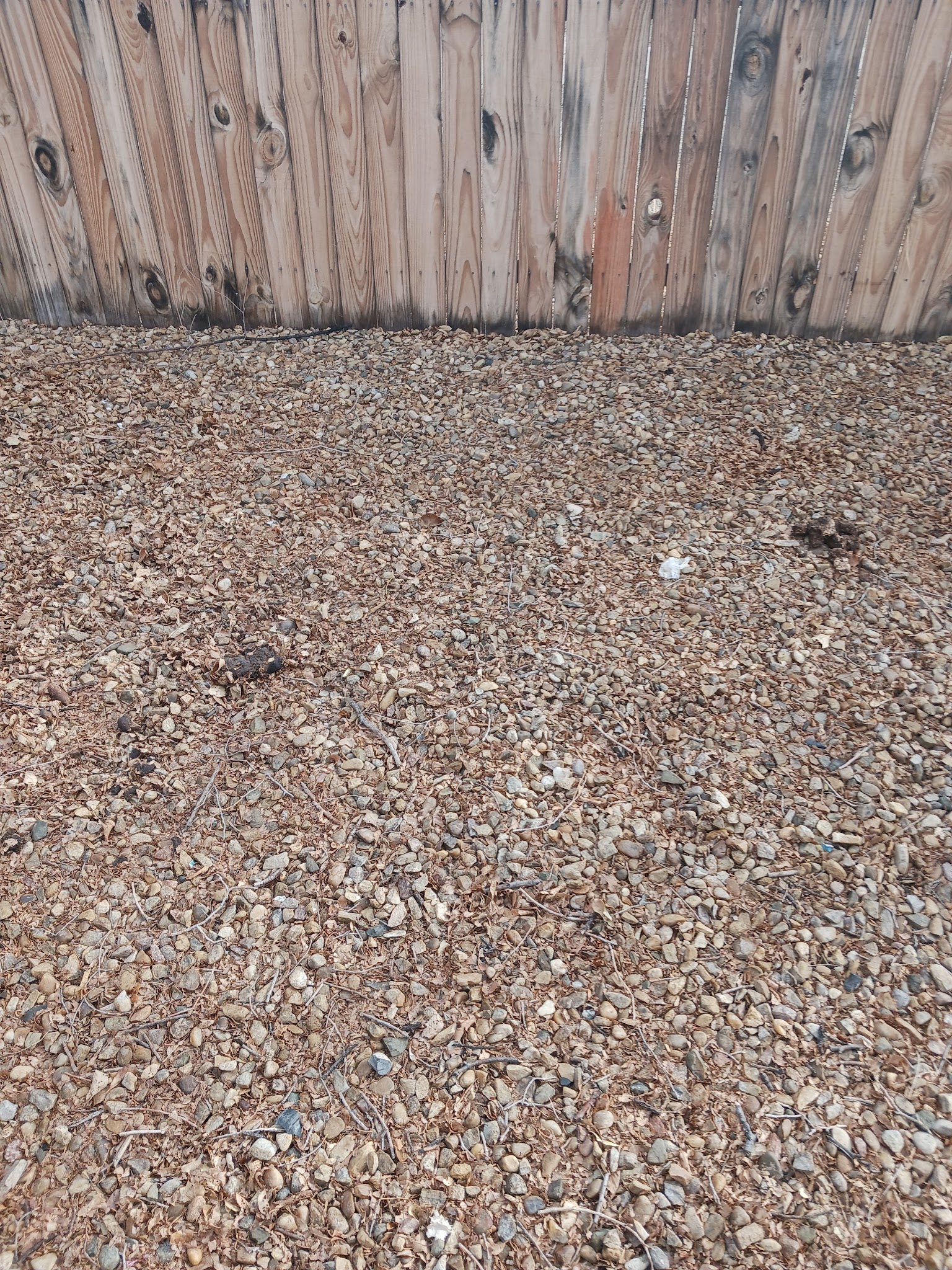 Dog park - Raton, NM