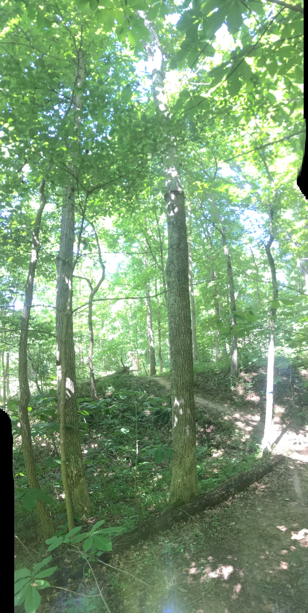 Kevin Clegg Trail System - Ravenswood, WV