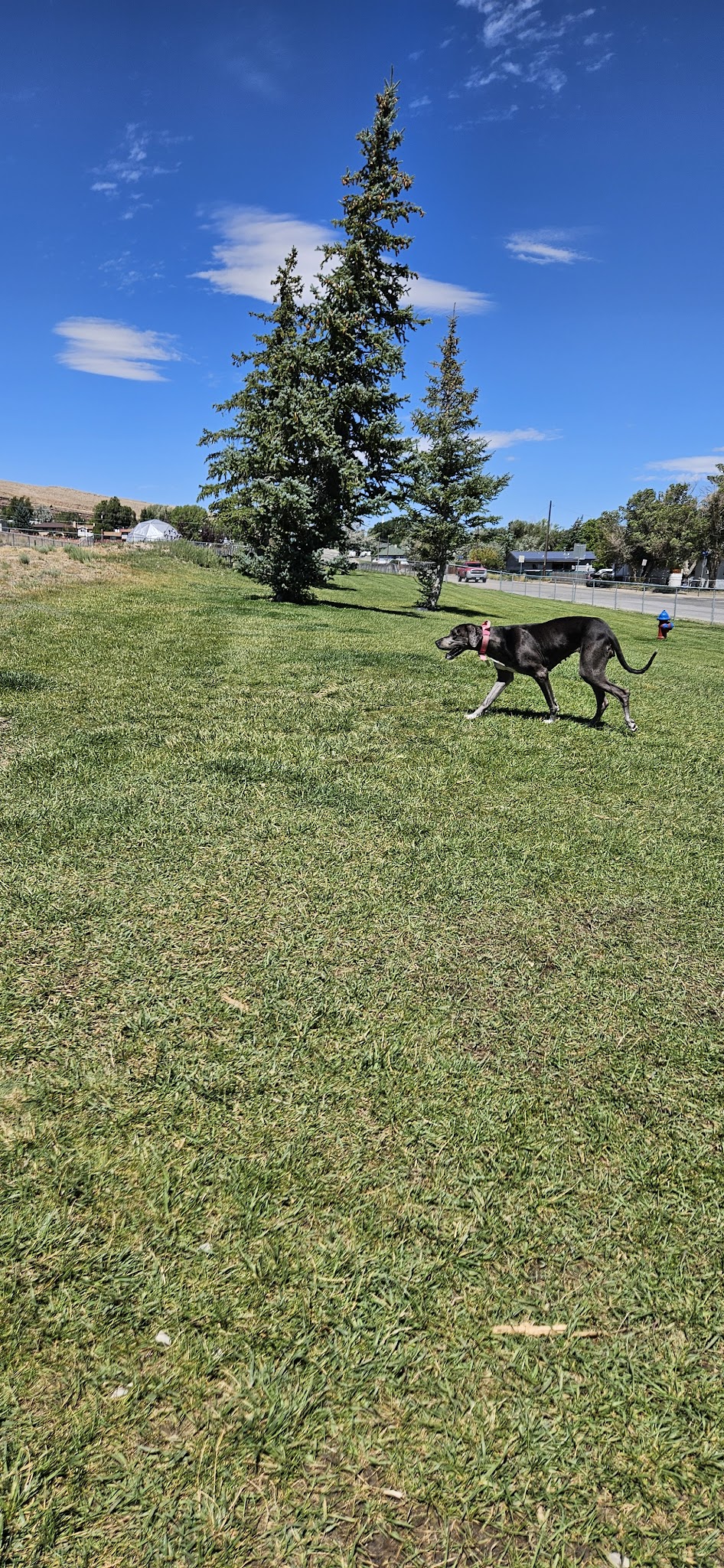 City of Rawlins Dog Park - Rawlins, WY