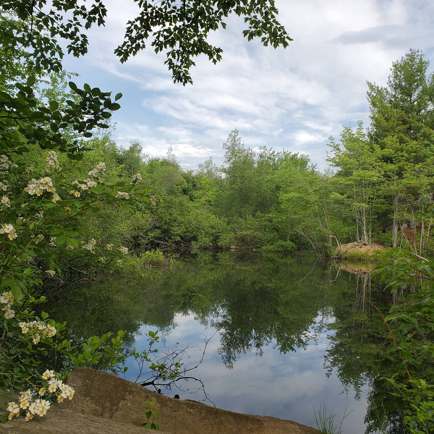 Riverside Park - Raymond, NH