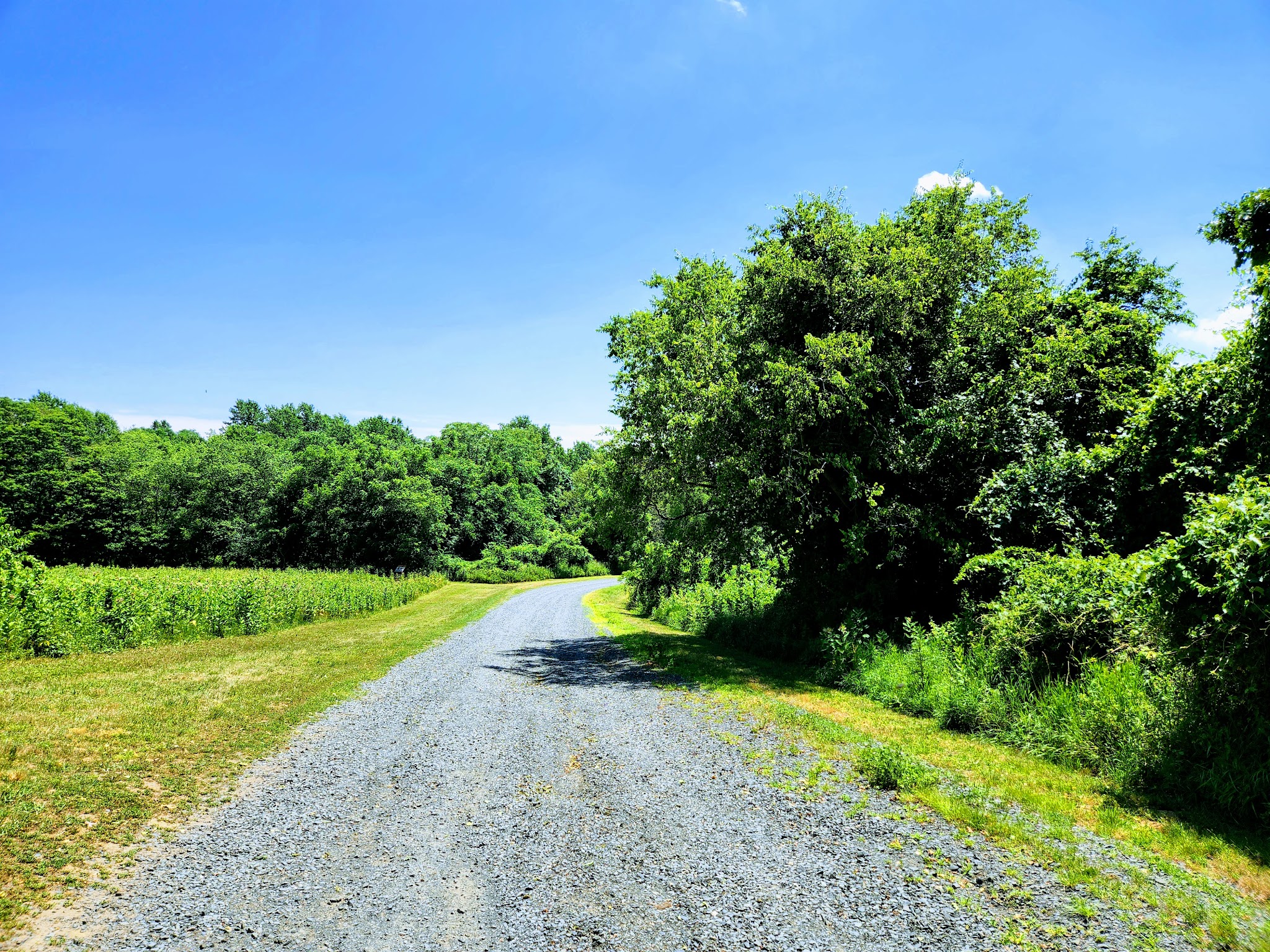 Poricy Park Walking Trails - Red Bank, NJ