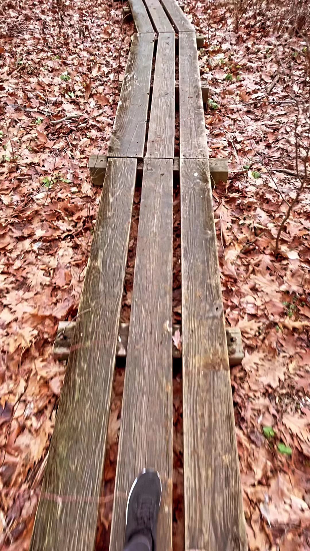 Poricy Park Walking Trails - Red Bank, NJ