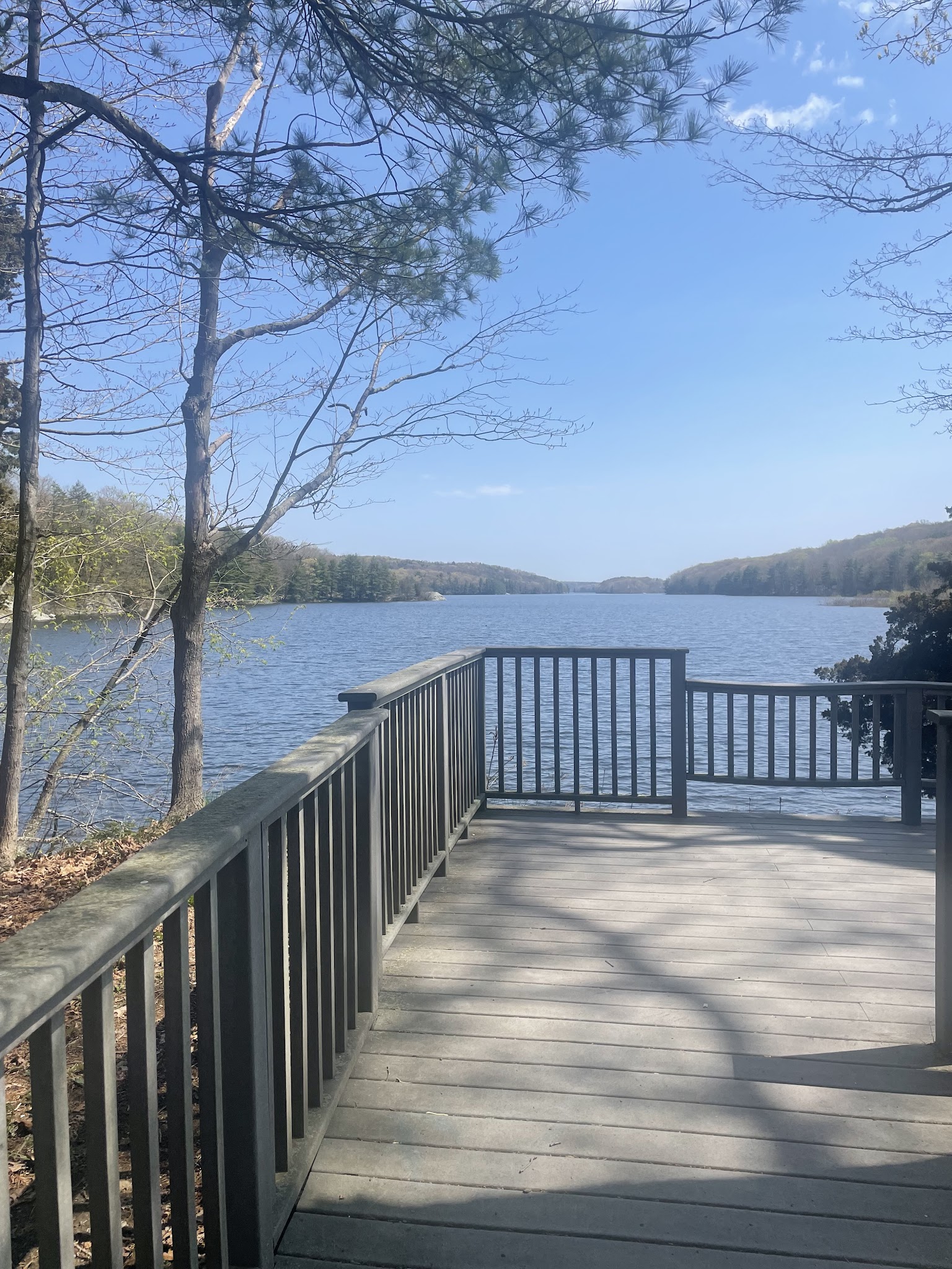 Centennial Watershed State Forest - Redding, CT