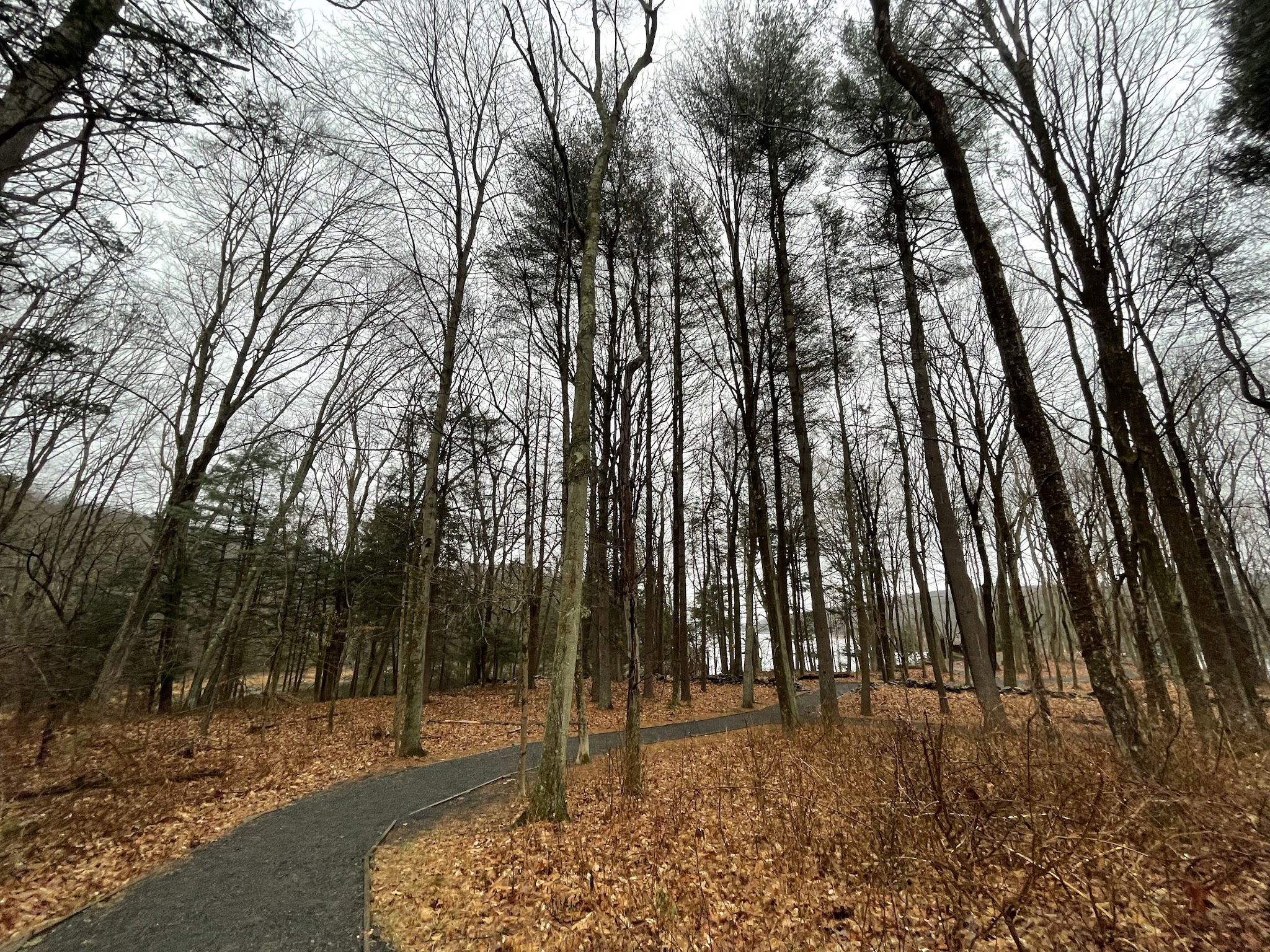 Centennial Watershed State Forest - Redding, CT