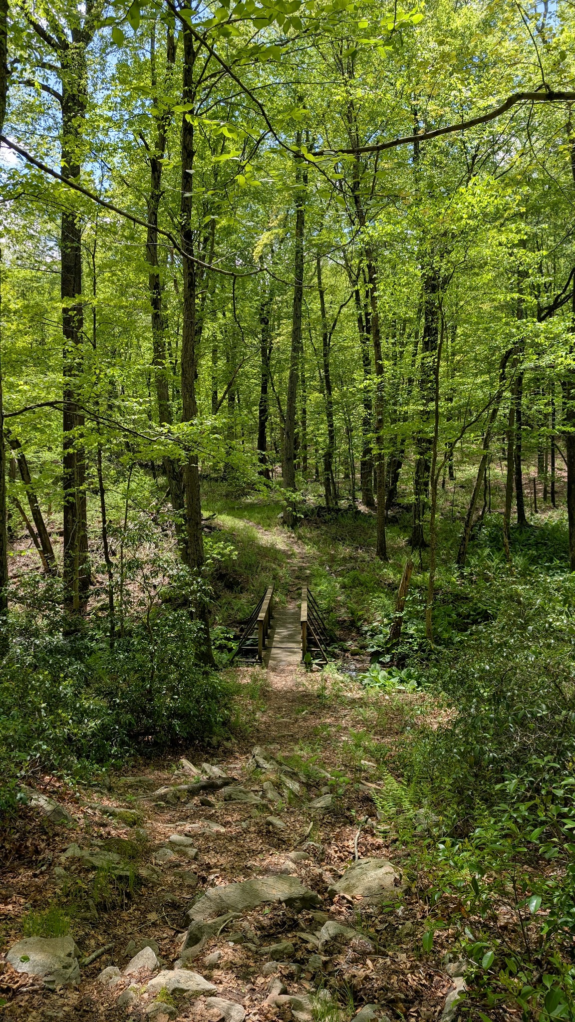 Centennial Watershed State Forest - Redding, CT