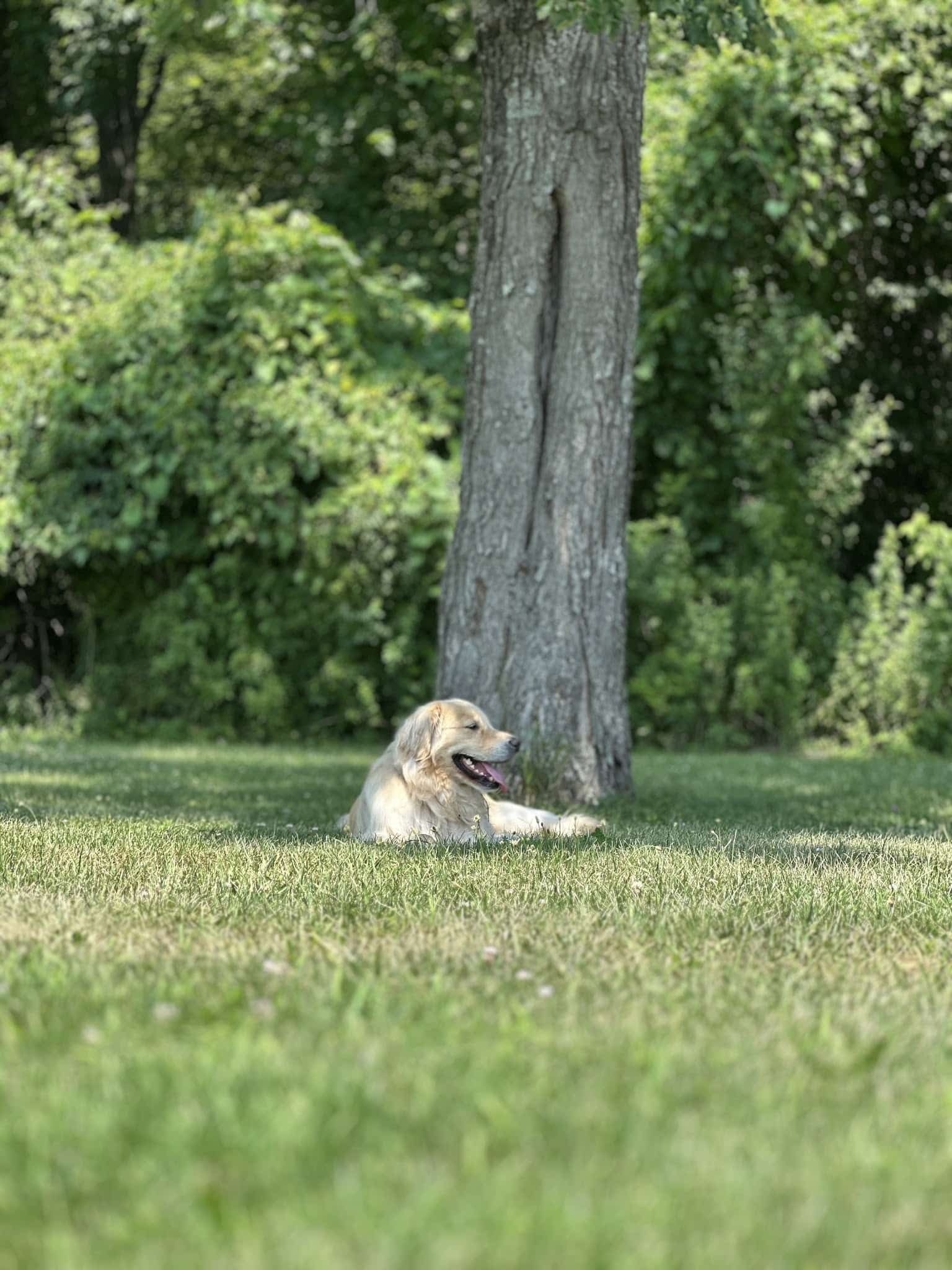 Redding Park and Recreation - Redding, CT