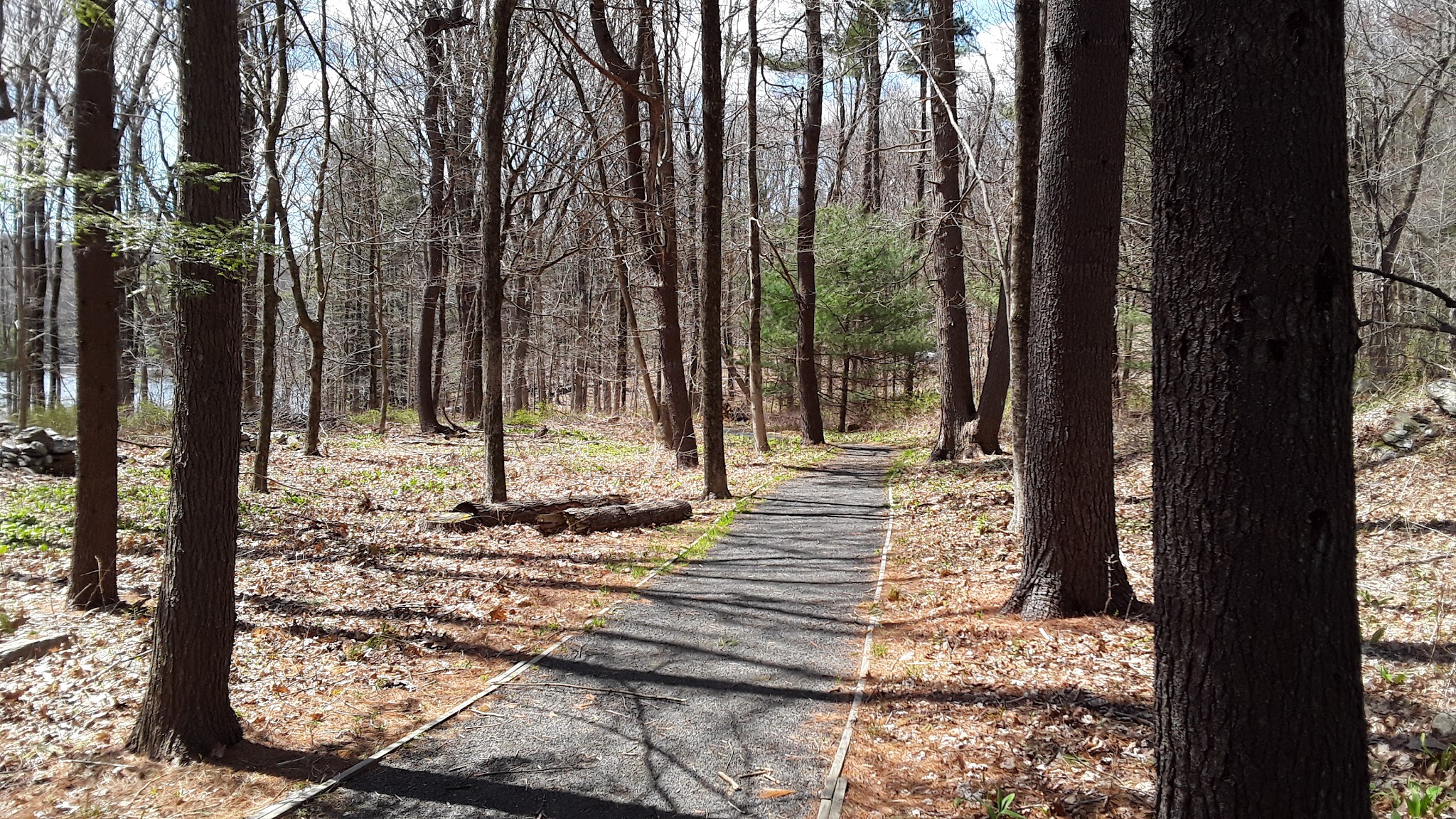 Saugatuck Universal Access Trail - Redding, CT