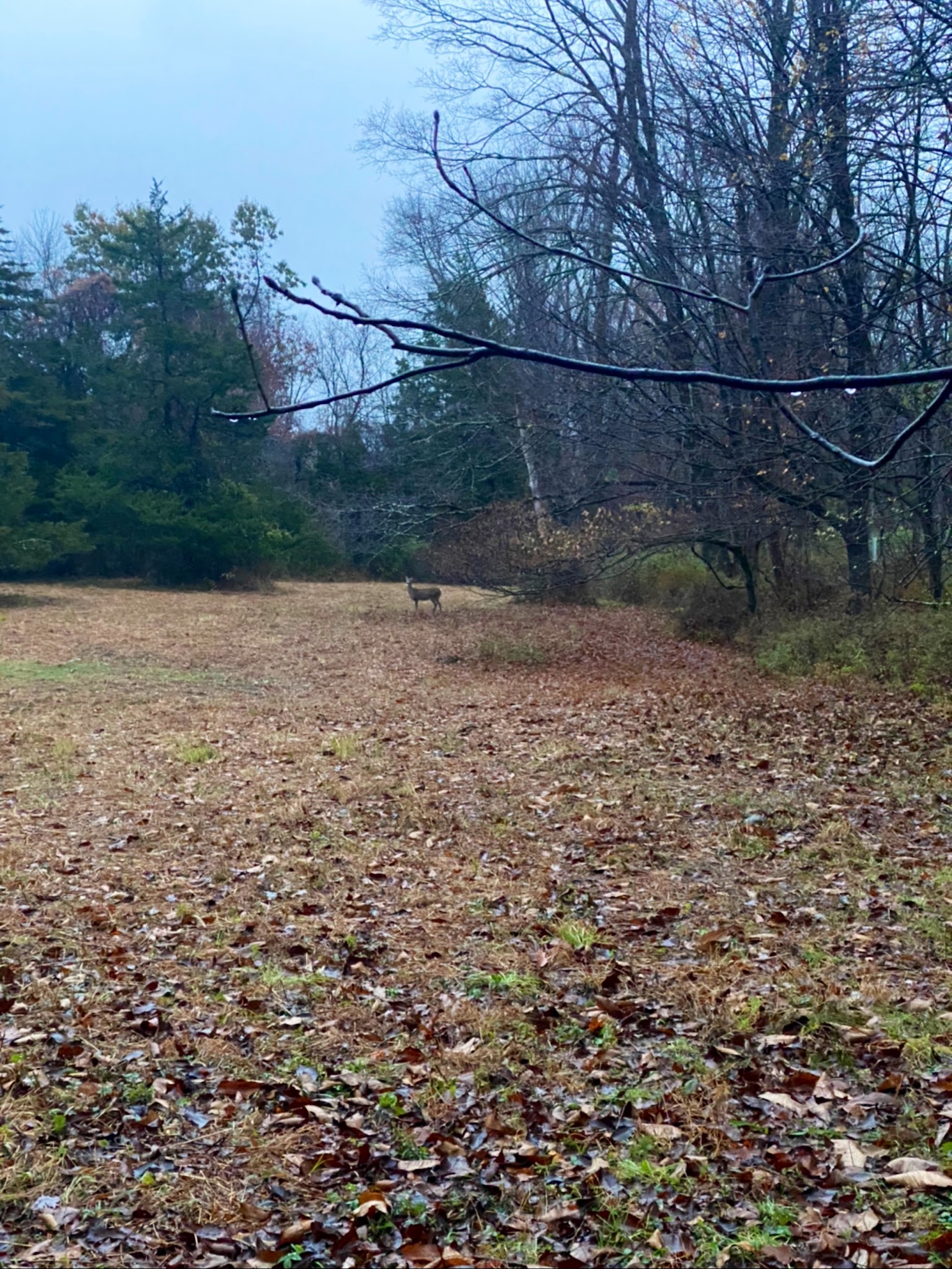 Stormfield - Redding, CT