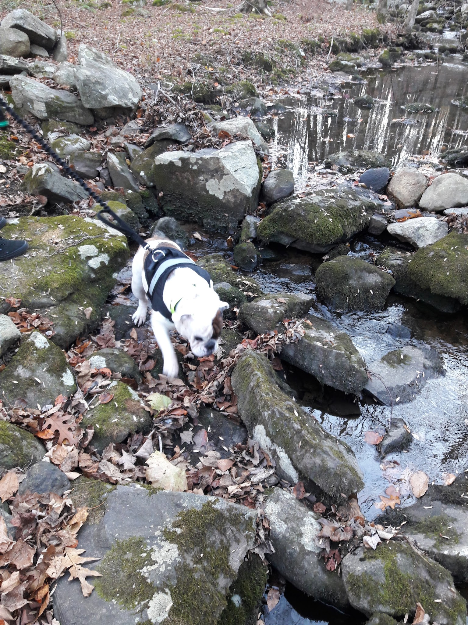 Stormfield - Redding, CT