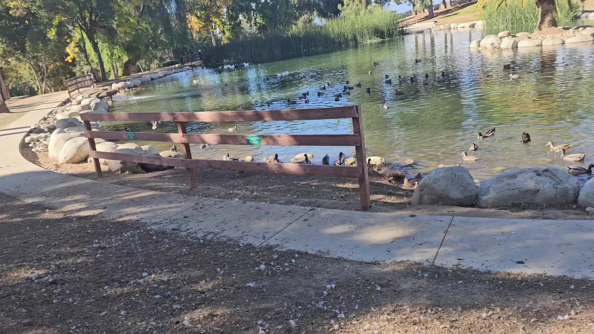 Redlands Dog Park - Redlands, CA
