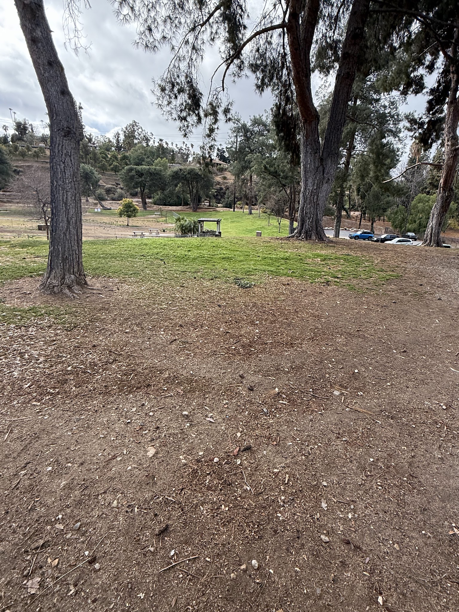 Redlands Dog Park - Redlands, CA