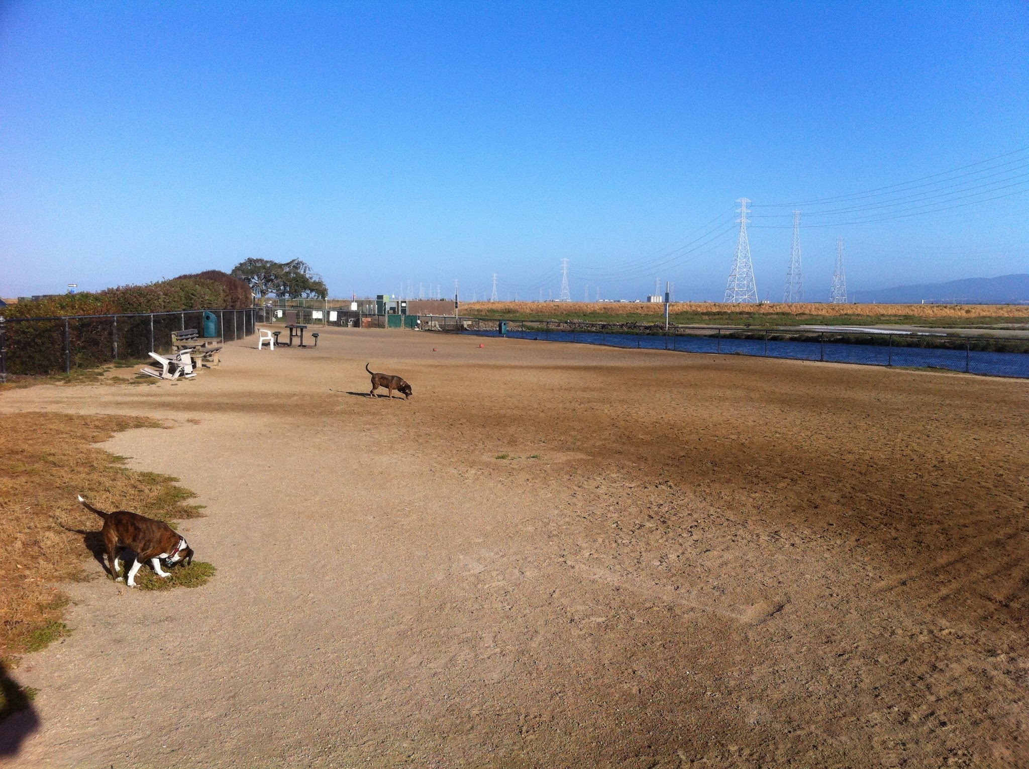 Shore Dogs Park - Redwood City, CA